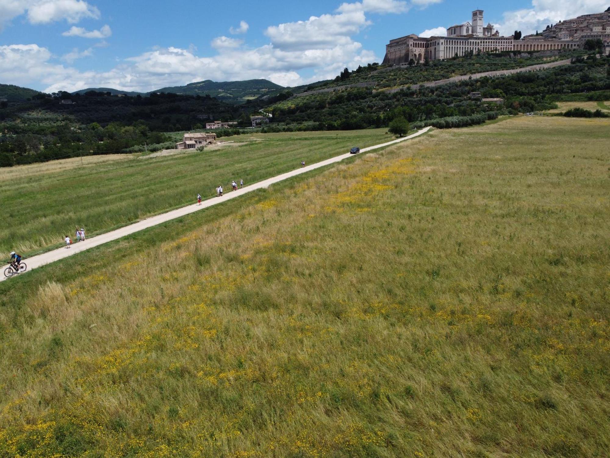 Agriturismo Molinella Ассізі Екстер'єр фото